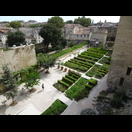 Der Garten